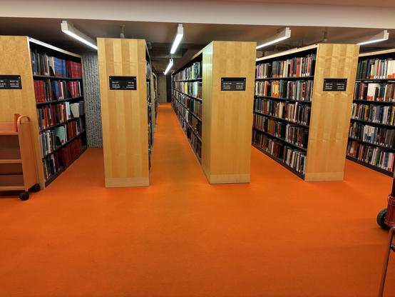 Blond wood bookstacks and orange carpeting.