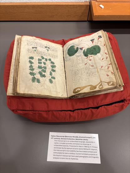 The mysterious Voynich Manuscript