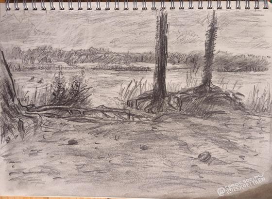 Pencil on paper

Sketch of three trees with visible roots above the earth, in front of a lake. Different plants (seaweed, bushes) behind the trees. Two persons are indicated swimming on the left. At the end of the lake, trees and plants and a lighter beach area. Woods behind it. Clouds in the sky.