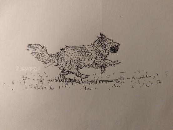 Black Fineliner on paper

Sketch of a running dog, carrying a ball in its mouth.