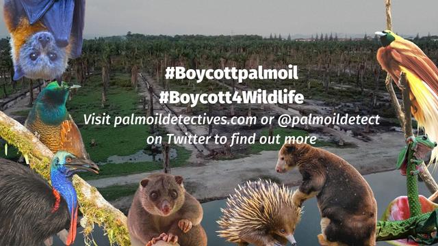 The biggest lie you were never told: "Sustainable" #RSPO #PalmOil stops #deforestation. It doesn't! So avoid #snacks by #Mars #Kelloggs #Nestle all big brands. Instead buy #PalmOilFree snack #food. Learn more 🌴🩸🤯🧐⛔️ @palmoildetect.bsky.social #BoycottPalmOil https://palmoildetectives.com/2021/02/11/palm-oil-free-crisps-chips-and-snack-foods/?utm_source=mastodon&utm_medium=Palm+Oil+Detectives&utm_campaign=publer