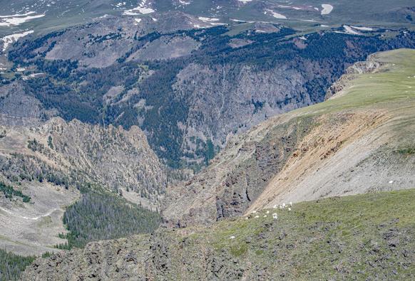 Mountain goats out two locations above Rock Crk. Canyon, by ski area here, and just below the pass. 3200m where they are down there.