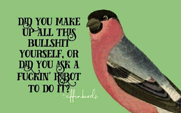 DID YOU MAKE
UP ALL THIS
BULLSHIT
YOURSELF, OR
DID YOU ASK A
FUCKIN' ROBOT
TO DO IT?

effin birds