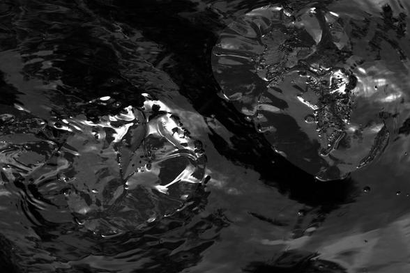 Water floating slowly over two lilypads that is partly under the surface. The sunlight from above makes the whole image look like floting metal or tin foil, in an abstract way. The image is dark, and in black and white with high contrast.
