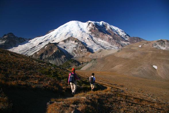 Seen from behind, two hikers follow a trail toward a huge glaciated volcano in the center background, while heading to a fairly bare high knob at far right, which is called Third Burroughs. The sky above the mountain is deep blue and the low vegetation along the trail and up toward the knob is brown and pale orange. To the left of the mountain is another peak, lesser but high and rocky, called Tatoosh.