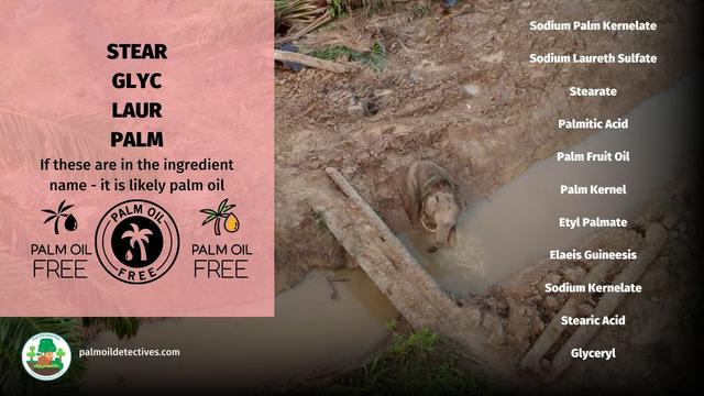 How much of your #skincare 🫧🧼😶‍🌫️ routine contains #palmoil? If you brands like #Aveeno Johnson and Johnson and #Olay you're lathering #ecocide onto your face. Instead go #PalmOilFree 💡 and #BoycottPalmOil #Boycott4Wildlife 🌴🪔🩸🤢🔥🚫 @palmoildetect.bsky.social https://palmoildetectives.com/2021/02/11/palm-oil-free-skincare-products/?utm_source=mastodon&utm_medium=Palm+Oil+Detectives&utm_campaign=publer