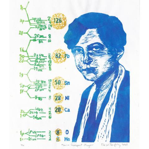 My linocut portrait of Maria Goeppert Mayer on 11” x 14” white Japanese paper shows the nuclear shell model energy states in lime green up the left side. Next to this are the magic numbers rising vertically (sums of available energy states): 2, 8, 20, 28, 50, 82, 126 and associated elements for nuclei with those numbers of protons: He, O, Ca, Ni, Sn, Pb with the final hypothetical element unlabelled, all in dark blue. A 3/4 portrait from the chest up in dark blue is all the right side. Mayer has short hair, and wears a dark blouse with long thin white scarf draped around her neck, untied. Below the magic numbers are increasingly large representations of nuclei with increasing numbers of gold and white nucleons like clumps of balls.