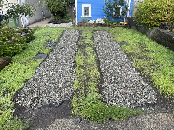 A front view of the driveway shows two wide tracks of drain rock with greenery growing between and beside.