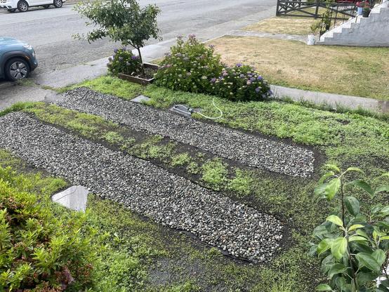 A view from above shows the greenery is a little patchy, especially where it is under the car. But not bad.