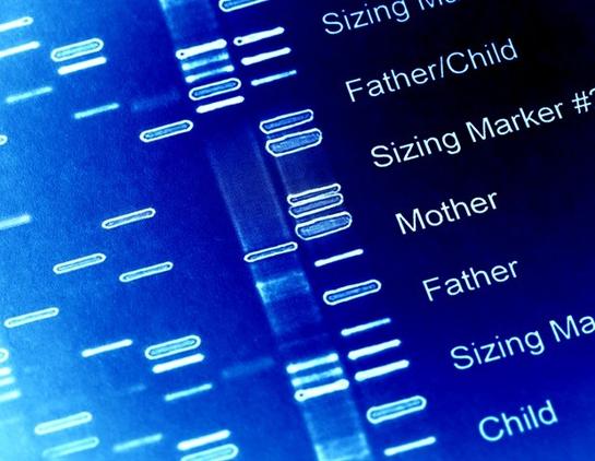 Expanding the genetic code in mammalian cells using pseudouridine modified codons