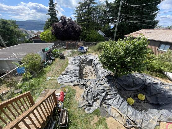 A wide shot of the backyard reveals two large holes covered in black rubber liner. There are various tools and things strewn about the yard. A small hazelnut tree is very leafy between the two holes.