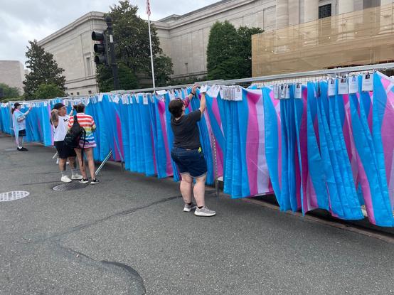 A wall of remembrance consisting of trans flags at World Pride in Washington DC; though not apparent from the photo, tags are along the wall of flags, memorializing trans and non-binary folks murdered or died by suicide.