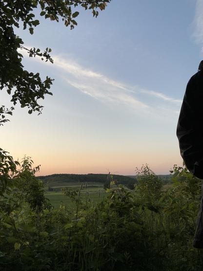 A selfie. But all you can see of me is a black shoulder and arm. the rest of the picture takes in a blue sky green hills and forests and farmland, and in the foreground shrubs and trees. Mosquitoes are hungry, so I’m putting this away shortly.