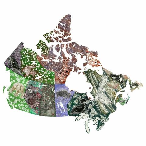 As described this is a digital collage of my linocut of each province and territory with their official flora and fauna.