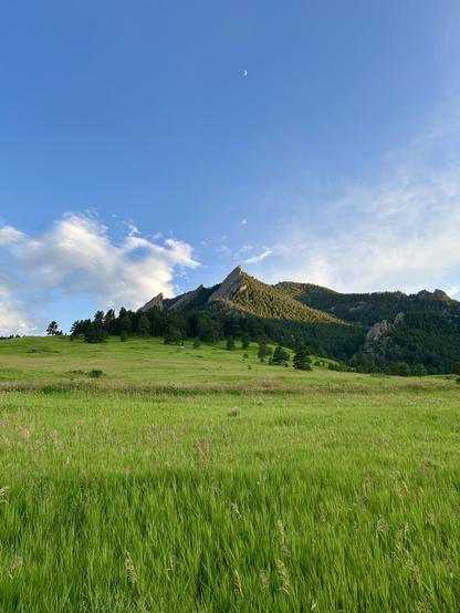 A serene landscape featuring a lush green meadow in the foreground, rolling hills, and rocky mountains in the background. A clear blue sky with a crescent moon and scattered clouds completes the peaceful scene.