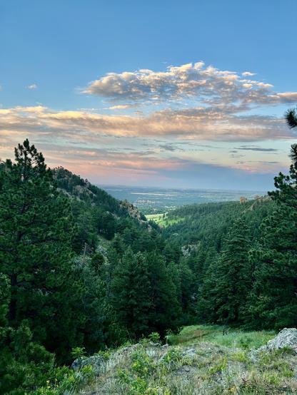 A scenic view of lush green pine trees with rolling hills in the background, under a colorful sky with scattered clouds during sunset.