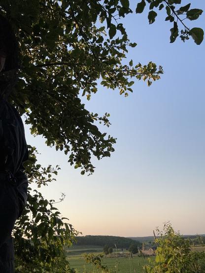 It’s a beauty day. The sun is up behind where I’m standing at the side of the picture. With an apple tree overhead. Shrubbery in front of me and a stunning view of hills and trees and pasture.