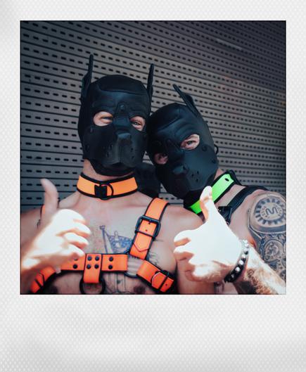 Two adorable (20 something?) guys pose for the camera in front of a security gate on Market Street. They are wearing leather pup hoods and colorful leather harnesses. Their thumbs are pointed up in approval as I snap their picture. 

Taken during the pride parade, June 28th 2025, in San Francisco.