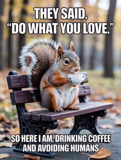 Picture a squirrel sitting on a tiny park bench sipping a cup of coffee. 
The caption reads: “THEY SAID,
"DO WHAT YOU LOVE."
SO HERE I AM, DRINKING COFFEE AND AVDIDING HUMANS”

Credit: Donated by a Peep.