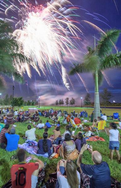 A field of people watching fireworks and Palm trees near the people
