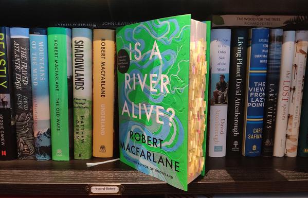A photo of the book Is a River Alive? its cover showing a painting of multiple overlapping meandering rivers in green and blue, standing upright on a black shelf against a background of other books on natural history. The book is standing at a slant to show it is heavily annotated with yellow post-it notes