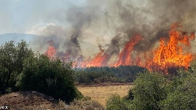The new wildfire broke out at Koropi, a town some 30 kilometres (20 miles) east of Athens