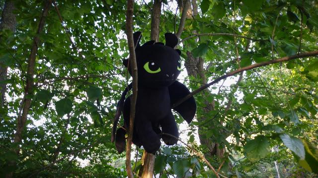 A plush dragon in a green leafy tree. The dragon is black and velvety with wings, and has big green cat-like eyes.