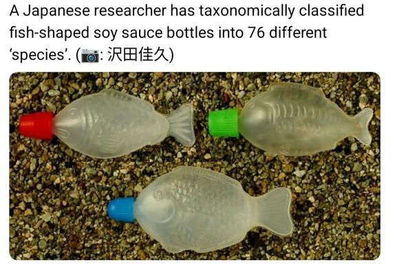 Image: Meme depicts three varieties of fish-shaped single serving takeout bottles of soy sauce, with the caption: "A Japanese researcher has taxonomically classified fish-shaped soy sauce bottles into 76 different 'species'. (:沢田佳久)"