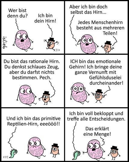Comic.

Panel 1:
Ein rosafarbenes Gehirn sitzt in der Gegend rum. Eine kleine, eierförmige Figur mit Hut kommt angelaufen.
Das rosa Gehirn fragt überrascht:
– „Wer bist denn du?“
Die kleine Figur mit Zylinder antwortet:
– „Ich bin dein Hirn!“

Panel 2:
Das rosa Gehirn ist verwirrt:
– „Aber ich bin doch selbst das Hirn…“
Die Figur erklärt:
– „Jedes Menschenhirn besteht aus mehreren Teilen!“

Panel 3:
Die Figur mit Zylinder zeigt auf das rosa Gehirn:
– „Du bist das rationale Hirn. Du denkst schlaues Zeug, aber du darfst nichts bestimmen. Pech.“

Panel 4:
Die Figur fährt fort, energisch:
– „ICH bin das emotionale Gehirn! Ich bringe deine ganze Vernunft mit Gefühlsduselei durcheinander!“

Panel 5:
Eine neue Figur erscheint – ein kleines grünes Reptil:
– „Und ich bin das primitive Reptilien-Hirn, eeeööö!!“

Panel 6:
Das Reptilien-Hirn sagt:
– „Ich bin voll bekloppt und treffe alle Entscheidungen.“
Das rosa Gehirn antwortet resigniert:
– „Das erklärt eine Menge!“