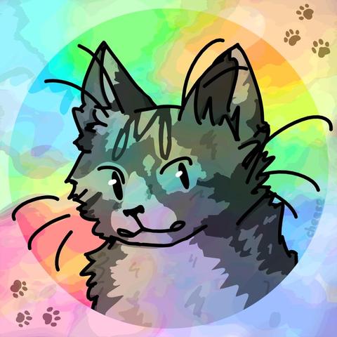 Avatar for aylamz Avatar for aylamz