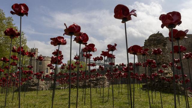 An installation of 30,000 ceramic poppies at the Tower of London to mark VE Day. | AFP - CARLOS JASSO