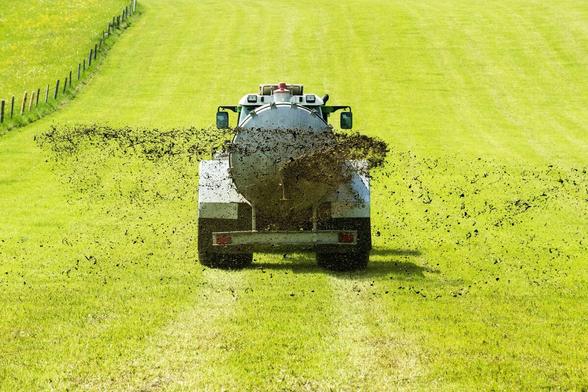 Landwirtschaftliches Fahrzeug verteilt Gülle auf gelb-grünem Feld