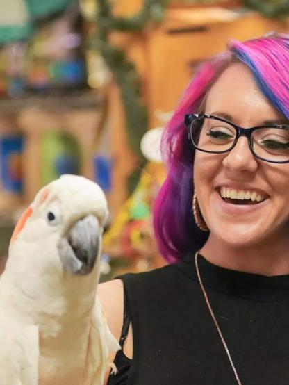 8 types of parrots to have as pets