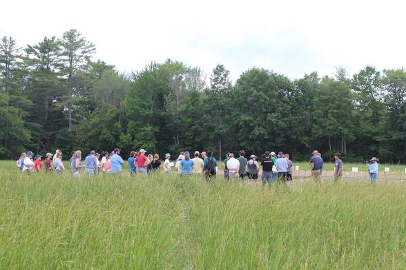 people gathered in a field at Rogers Farm