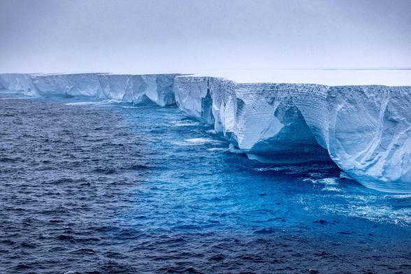 We have a surprising underwater ally in combatting climate change: zooplankton We have a surprising underwater ally in combatting climate change: zooplankton