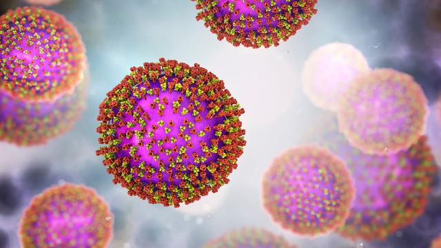 New measles cases: Three infected people visit Masterton Pak’nSave, Carterton library New measles cases: Three infected people visit Masterton Pak’nSave, Carterton library