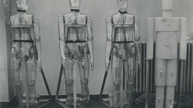 E0040_011.jpg