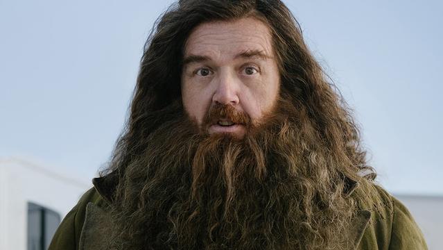 Nick Frost Hagrid Nick Frost Hagrid