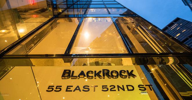 BlackRock, based in New York, has asked regulators to approve a purchase of Minnesota Power, a company that provides power to 150,000 residential and business customers, largely in the northern Minnesota.