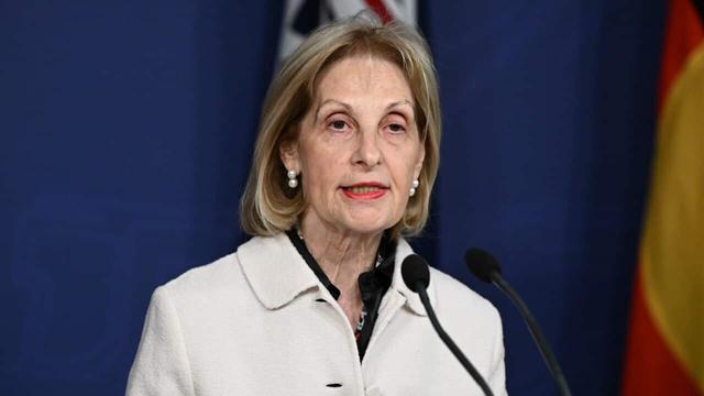 Multiple groups have called for Jillian Segal's resignation following revelations a trust linked to her husband made a $50,000 donation to a right-wing political lobby group. The treasurer says it's a matter for Segal.
