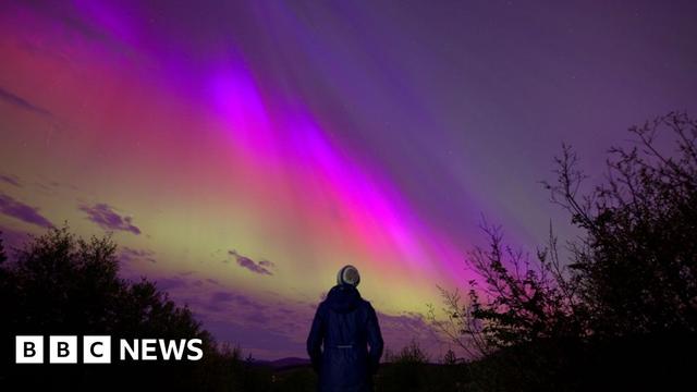 The northern lights. Vivid colours of yellow-green and pink scattered through a dark night sky with light cloud cover. A shadow of a person [centre] is facing away from the camera while looking up at them. They are surrounded by dark shrubbery.