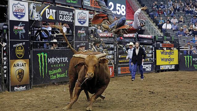 Professional Bull Riders