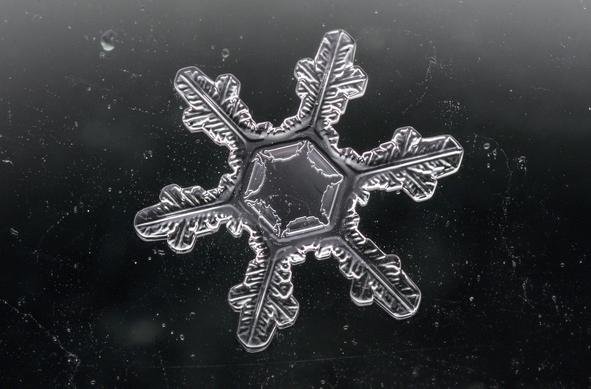 Close-up macro photograph of a single snowflake with six symmetrical arms radiating from a hexagonal center. Each arm has intricate, feather-like branches and fine etched patterns. The snowflake appears translucent white against a dark, slightly textured background, showing crisp edges and delicate crystalline detail.