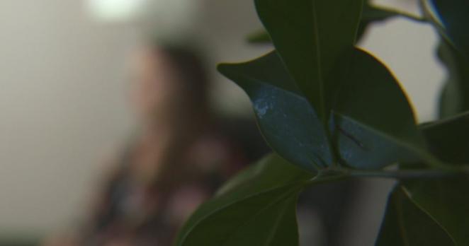 A quiet rural Alberta community is perhaps one of the last places a family might expect their child to be targeted by a violent international network of predators, but that is the living nightmare unfolding for the mother of a 14-year-old girl.